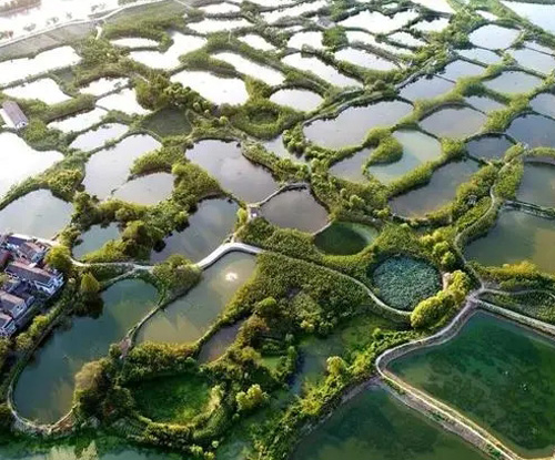 羅茨鼓風(fēng)機(jī)主要作用是什么？