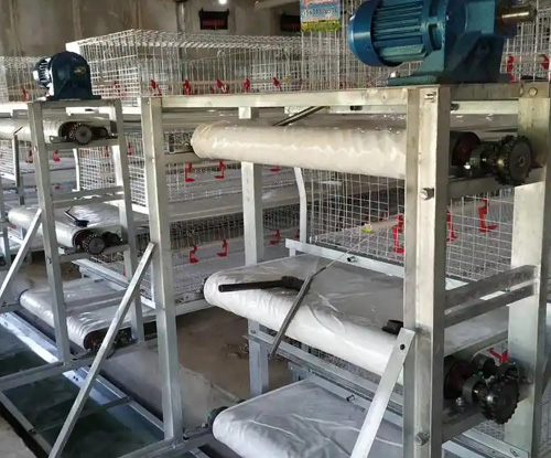 養(yǎng)殖基地需要哪些設(shè)備